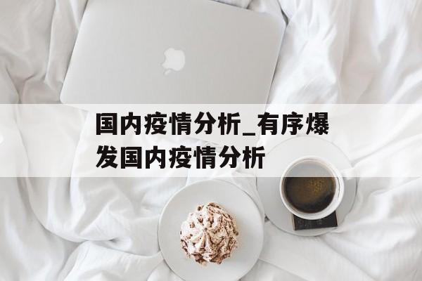 国内疫情分析_有序爆发国内疫情分析